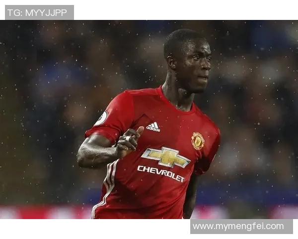 全球足球明星实力排行图:各大球队球员综合评分与位置分布分析 全球足球明星实力排行图:各大球队球员综合评分与位置分布分析